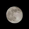 full-moon.jpg (13073 bytes)