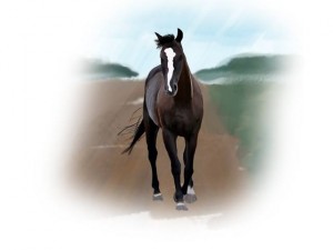 Yuxi draws a horse~ 