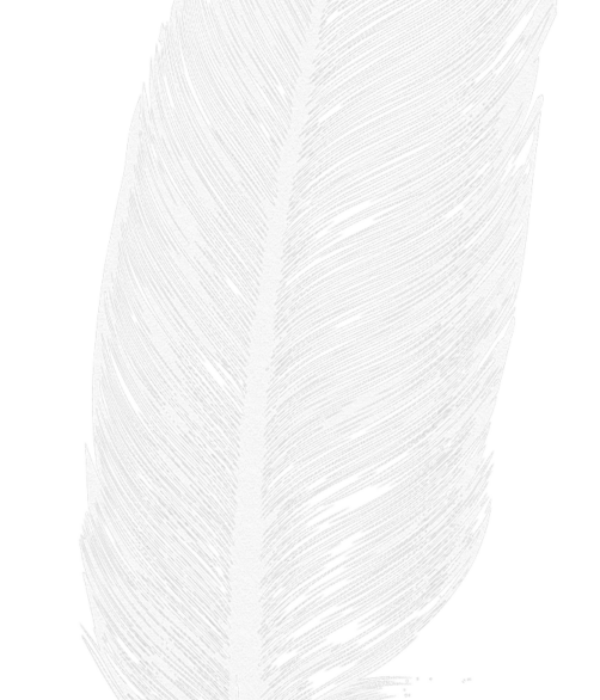 feather _test texture feather _test texture